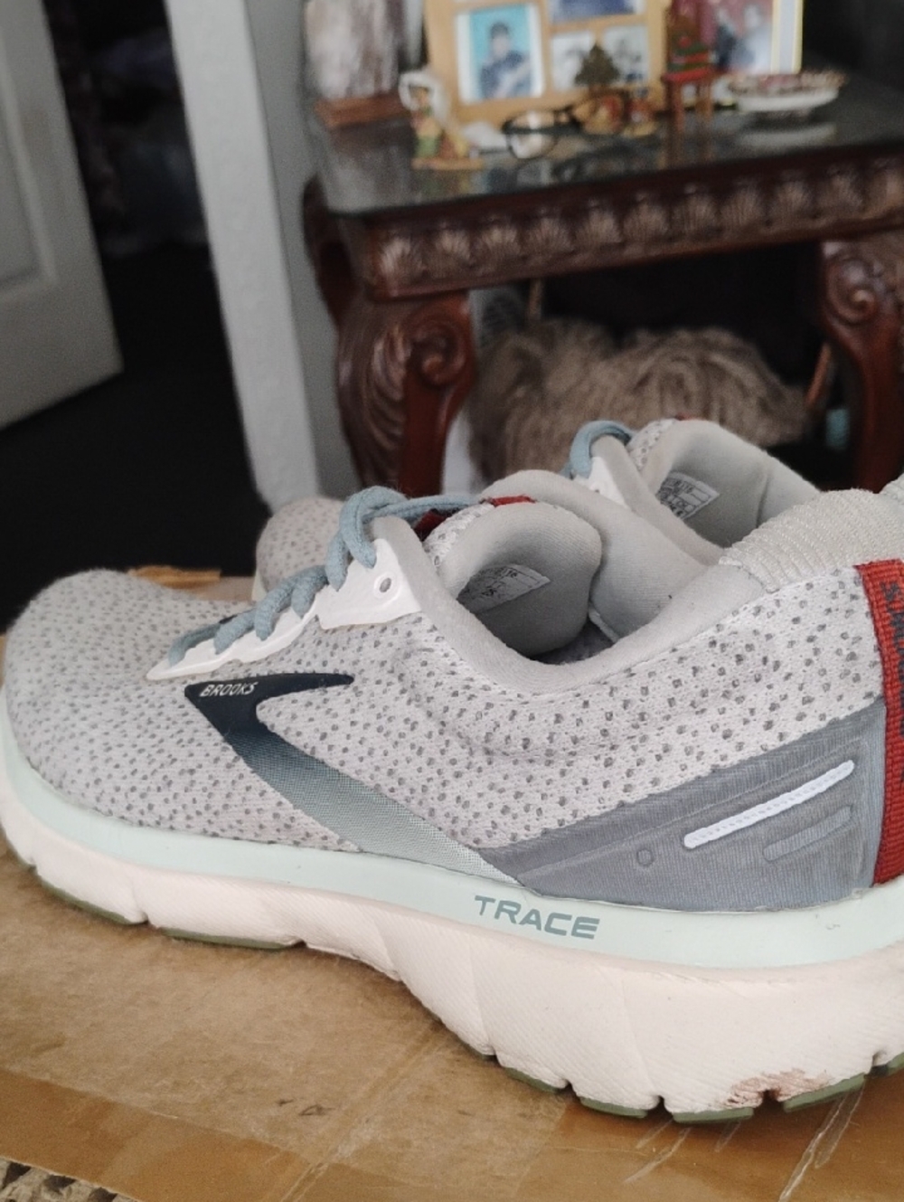 Brooks Trace 1